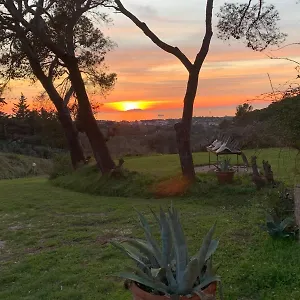  Bed & Breakfast Allulivus Italia